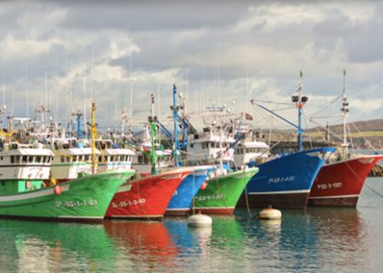 Barcos de pesca para la captura del pescado amarrados en el puerto.